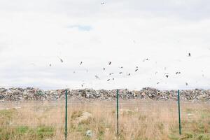 montaña basura, grande basura montón, degradado basura. pila de hedor y tóxico residuo. estos basura ven desde urbano áreas, industrial áreas consumidor sociedad porque masivo desperdiciar. lata no obtener eliminar de foto