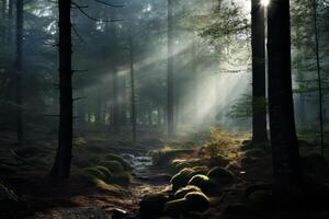 ai generado un fotografía exhibiendo el encantador jugar de ligero y sombra en un bosque. generativo ai foto