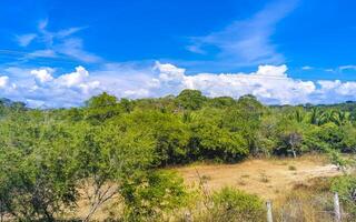 Drive past the tropical jungle mountains and countryside Mazunte Mexico. photo