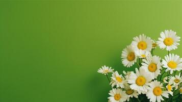 AI generated Banner chamomile flower love celebration photo