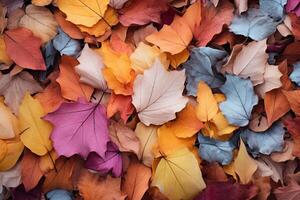 AI generated Fallen leaves forming a natural carpet of color. Generative AI photo