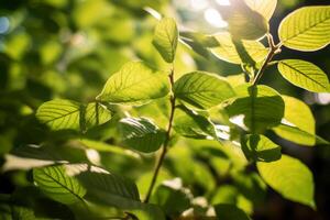 AI generated A close up of dappled sunlight filtering through leaves, creating a natural pattern of light and shadow. Generative AI photo