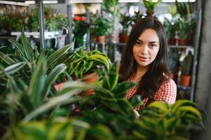 lado posterior ver de encantador hembra florista en delantal poniendo ollas con verde planta en estantería en floral tienda. joven mujer jardinero trabajando con plantas de interior a hogar. concepto de floral pequeño negocio. foto