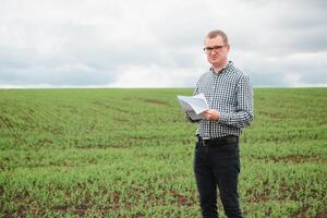 farmer on a pea field. Agriculture concept. The farmer works in the field. Vegan vegetarian home grown food production. photo