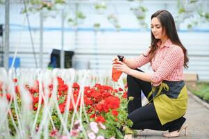 puesta en marcha exitoso SME pequeño negocio empresario propietario mujer en pie con flores a florista tienda Servicio trabajo. retrato de caucásico niña exitoso propietario ambiente simpático concepto bandera foto