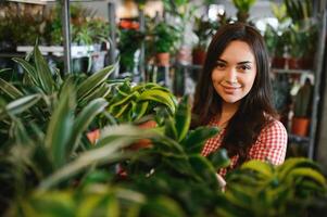 Pretty female gardener taking care of plants in her flowers and plants shop - woman working in a greenhouse photo