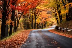 ai generado vistoso hojas en un devanado país la carretera. generativo ai foto