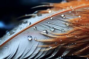 AI generated Close-up of a rain-soaked feather, revealing its fine structure. Generative AI photo