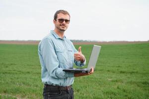 Man farmer working on a laptop in the field. Agronomist examines the green sprout winter wheat. photo