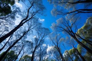 ai generado grupo de arboles con un azul cielo en el antecedentes. generativo ai foto