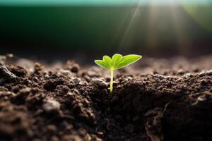 AI generated A close up of a sprout breaking through the surface of the earth, symbolizing hope and growth. Generative AI photo