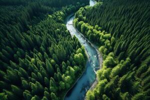 ai generado aéreo ver de un devanado bosque río reflejando el rodeando arboles generativo ai foto