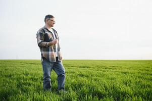 A young farmer inspects the quality of wheat sprouts in the field. The concept of agriculture. photo