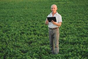 Agronomist inspecting soya bean crops growing in the farm field. Agriculture production concept. young agronomist examines soybean crop on field in summer. Farmer on soybean field photo