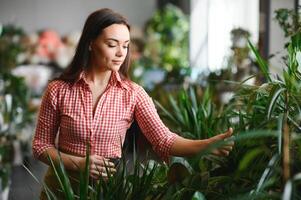 Pretty female gardener taking care of plants in her flowers and plants shop - woman working in a greenhouse photo