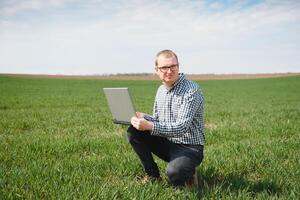 farmer standing in young wheat field examining crop and looking at laptop. photo