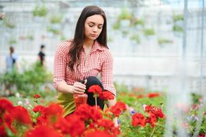 mujer florista trabajando a su flor tienda en pie rodeado por plantas foto