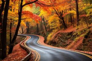 AI generated A winding road through a colorful autumn forest. Generative AI photo