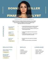 finance resume template design ideas