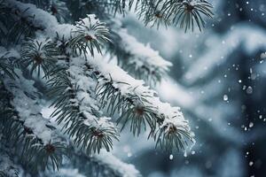AI generated Evergreen branches laden with snow. Generative AI photo