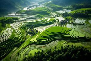 AI generated Aerial shot showcasing the harmonious patterns of terraced paddy fields. Generative AI photo