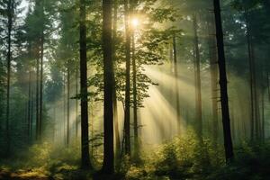 ai generado luz de sol filtración mediante arboles en el tarde. generativo ai foto