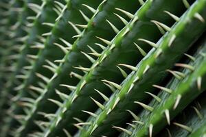 ai generado un extremo de cerca de el textura de un cactus columna vertebral. generativo ai foto