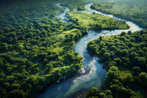 AI generated Aerial perspective of a picturesque river bend with lush vegetation. Generative AI photo