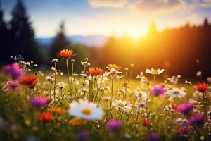 ai generado iluminado por el sol prado punteado con flores silvestres, un vibrante natural ajuste. generativo ai foto