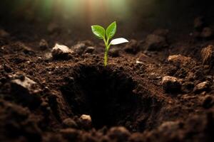 AI generated A close up of a seedling breaking through the surface of the soil, a symbol of hope and growth. Generative AI photo