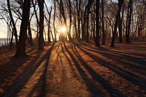 AI generated Sunlight casting long shadows in the late afternoon. Generative AI photo