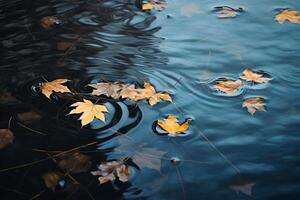 AI generated Leaves floating on the surface of a calm pond. Generative AI photo