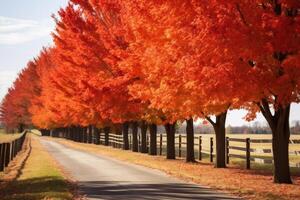 AI generated Red maple trees lining a peaceful countryside road. Generative AI photo