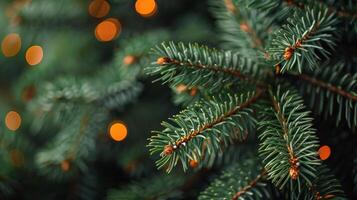 AI generated Pine Tree Close Up With Background Lights photo