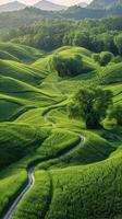 ai generado devanado la carretera mediante lozano verde campo foto