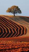 ai generado árbol en pie en arado campo foto