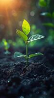 AI generated Small Green Plant Sprouting Out of Ground photo