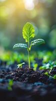 ai generado pequeño verde planta brotante fuera de suelo foto