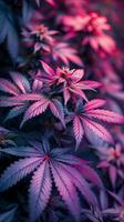 AI generated Close Up of Purple-Leaved Plant photo