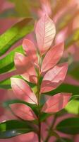 AI generated Close-Up of Pink Flower With Green Leaves photo