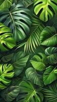 AI generated Green Leaves on Black Background photo