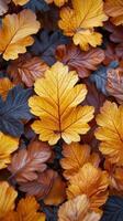 AI generated Close Up of Yellow Leaves on Tree photo