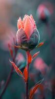 ai generado rosado flores en florero en mesa foto