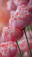 ai generado floreciente rosado flores foto