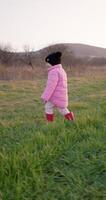 retrato do pequeno menina dentro a campo escavação a terra com uma pá video