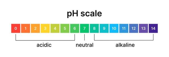 Ph level of acid and alkaline balance. Scale indicator for litmus paper test. Vector isolated infographics on white background.