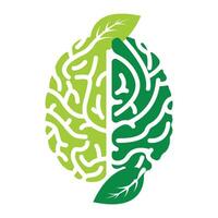 Nature brain with green leaf vector