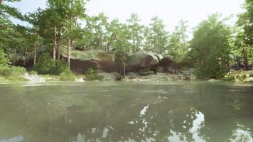 A body of water surrounded by trees and rocks video