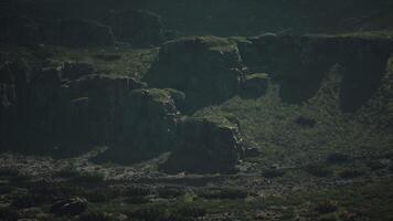 une groupe de grand rochers dans le milieu de une champ video