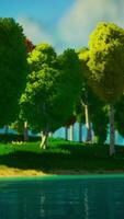 Cartoon Green Forest Landscape with Trees and lake video